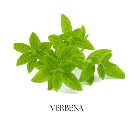 SAGE VERBENA telový balzam 30g