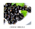 CEDRO body oil 100ml