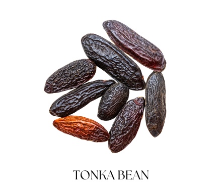 VANILLA MOROCCO face & body balm 30g