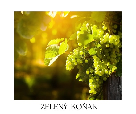 ROCOLATE pleťový a telový balzam 100ml