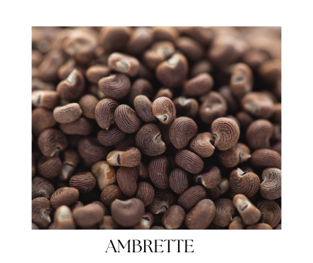 VIRIDIS telové mydlo