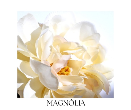 MAGNOLIA OUD body balm 100ml