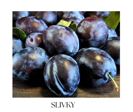 CHERRY & RIBES COLLECTION III.