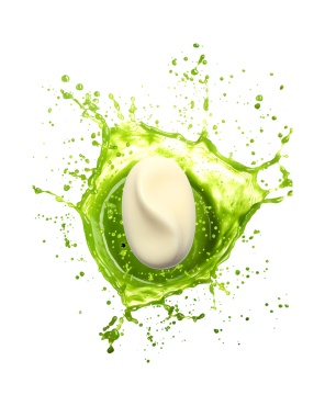 HONEY MELISSA body soap