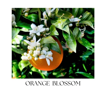 NEROLI telové mydlo