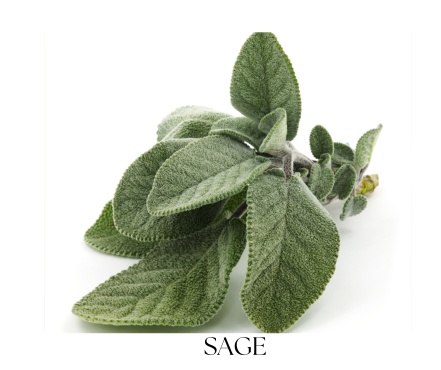 SAGE VERBENA telový olej 100ml