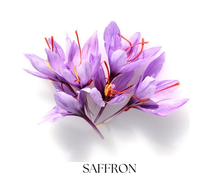 DARK LAVENDER body oil