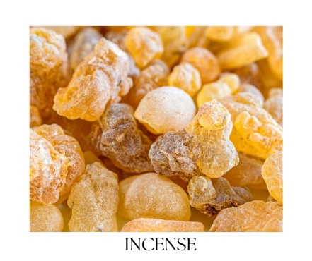 PRADO telový olej 100ml