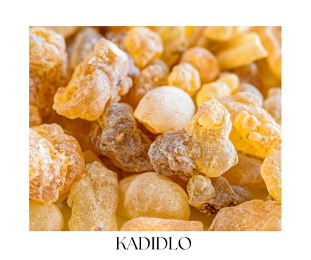 BOSWELLIA telový olej 100ml