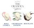 TRE ORANGEA collection of soap